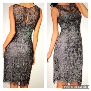 NWT designer Adrianna Papell Lace Dress in elegant Gray hue with built in liner